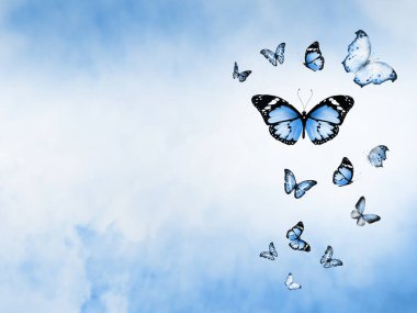 Arkaplan olarak bulutlar ve kelebekler ile gökyüzünü renklendir