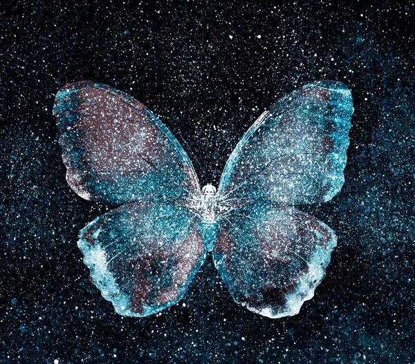 Univers Ciel Étoilé Avec Papillon — Photo