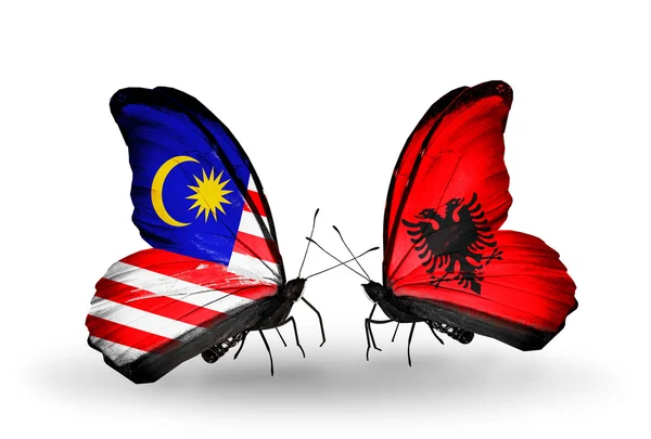 Schmetterlinge mit malaysischen und albanischen Flaggen auf Flügeln — Stockfoto