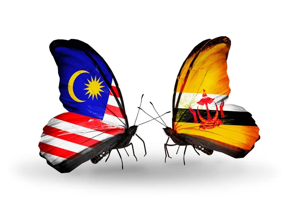 Butterflies with Malaysia and Brunei flags on wings — Stock Photo, Image