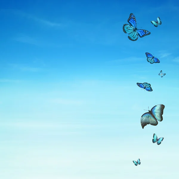 Cielo azul con mariposas — Foto de Stock