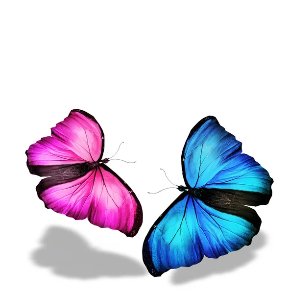 蓝色和粉红色的蝴蝶 — 图库照片