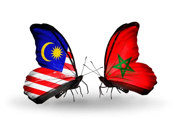 Motyle z Malezji i Maroko flagi na skrzydłach — Zdjęcie stockowe