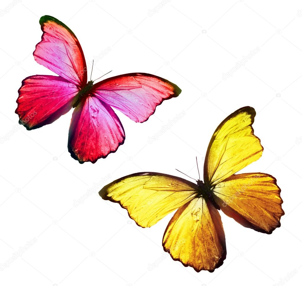 mariposa online dating 100% free mariposa personals & dating signup free & meet 1000s of sexy mariposa, california singles on bookofmatchescom™. mariposa online dating 100% free mariposa personals & dating signup free & meet 1000s of sexy mariposa, california singles on bookofmatchescom™.