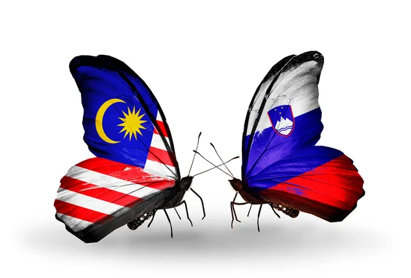 Butterflies with Malaysia and Slovenia flags on wings — Stock Photo, Image