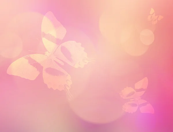 Butterflies Background — Stock Photo, Image