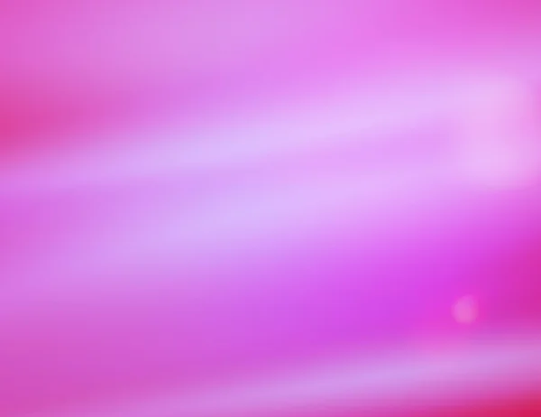 Violeta fundo rosa — Fotografia de Stock