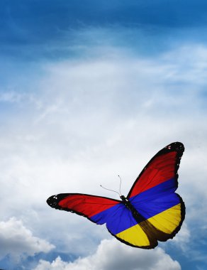 Ermenistan bayrağı kelebek