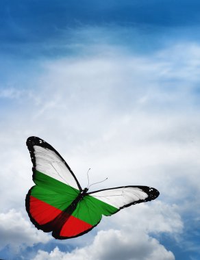 Bulgaristan bayrağı kelebek