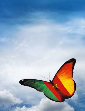 Kamerun bayrağı kelebek