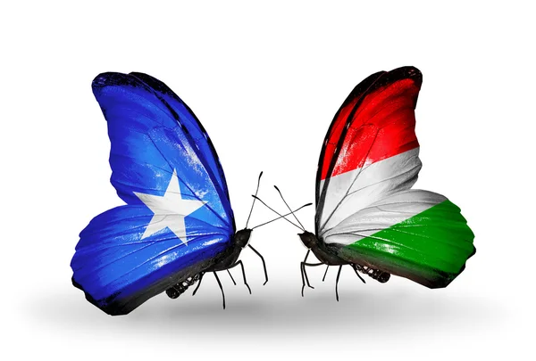 Somali ve Macaristan bayrakları taşıyan kelebekler — Stok fotoğraf