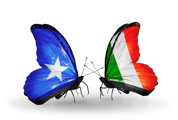 蝴蝶与索马里和爱尔兰国旗 — 图库照片
