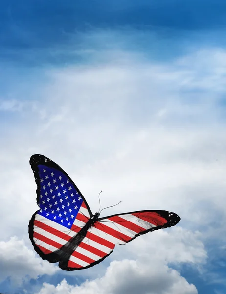 EE.UU. bandera mariposa — Foto de Stock