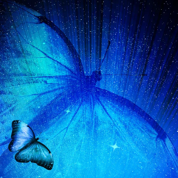 Blue butterfly — Stock Photo, Image