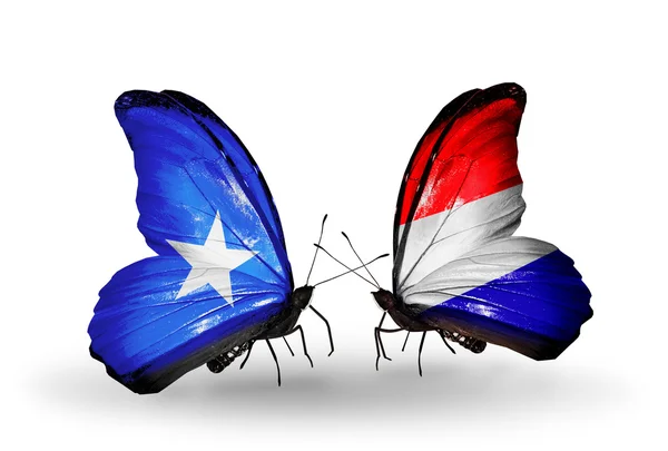 Butterflies with Somalia and Holland flags on wings — Stock Photo, Image