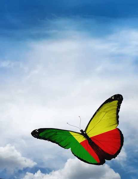 Vlag van Benin butterfly — Stockfoto