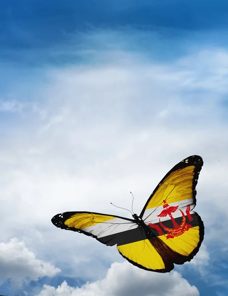 文莱国旗蝴蝶 — 图库照片