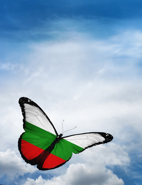 Bulgaria flag butterfly