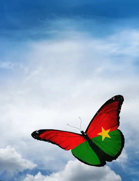 Burkina Faso flag butterfly — Stock Photo, Image