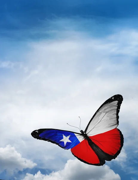 Vlag van Chili butterfly — Stockfoto