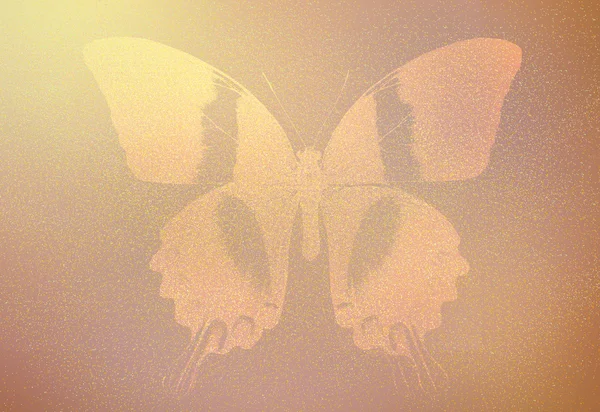 Fondo con silueta de mariposa — Foto de Stock