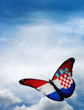 Hırvatistan bayrağı kelebek