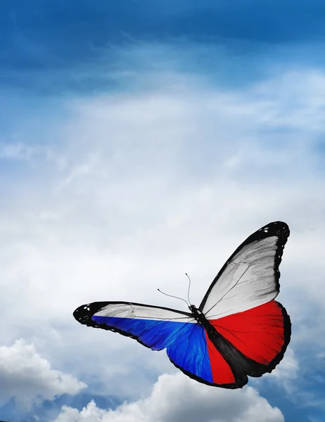 Bandera checa mariposa —  Fotos de Stock