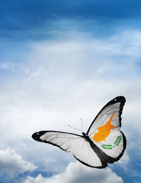 Cyprus flag butterfly — Stock Photo, Image