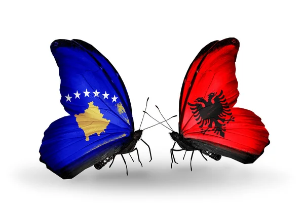 蝴蝶与科索沃和阿尔巴尼亚国旗 — 图库照片
