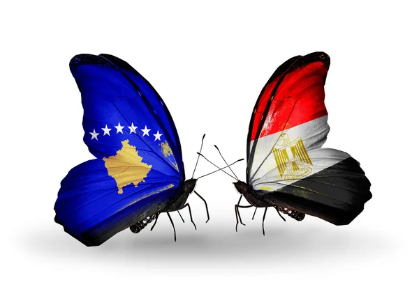 Butterflies with Kosovo and Egypt flags — Stock Photo, Image