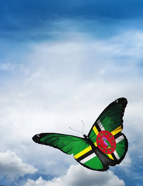 Vlag van Dominica butterfly — Stockfoto
