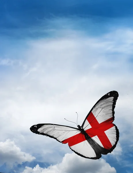 Borboleta bandeira inglesa — Fotografia de Stock