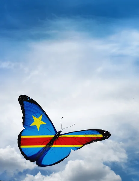 Kongo flag butterfly — Stock Photo, Image