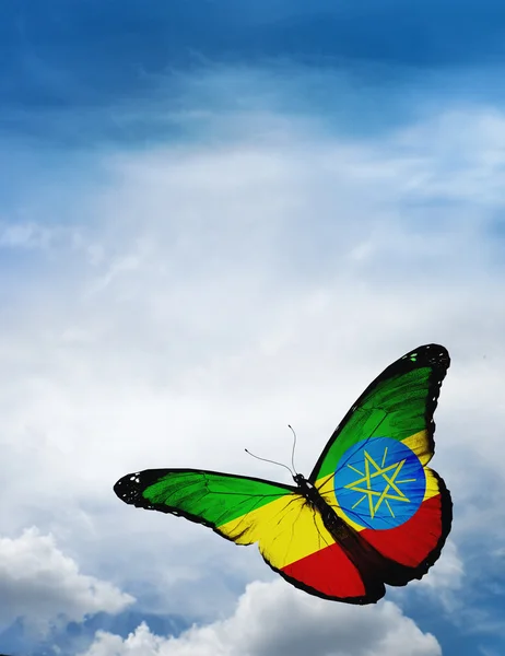 Drapeau éthiopien papillon — Photo