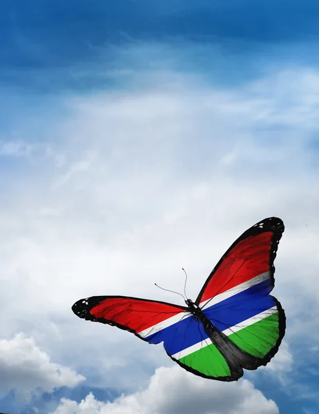 ガンビアの国旗を蝶します。 — ストック写真