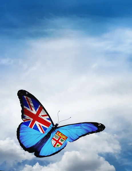 Fiji flag butterfly — Stock Photo, Image