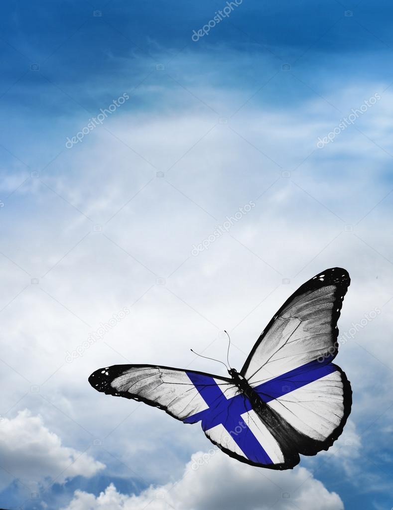 Finland flag butterfly