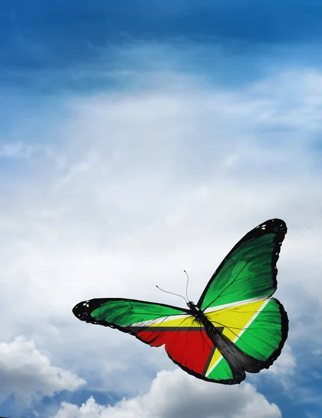 Farfalla bandiera guyana — Foto Stock