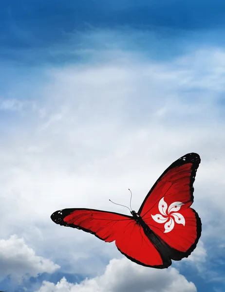 Hong kong drapeau papillon — Photo