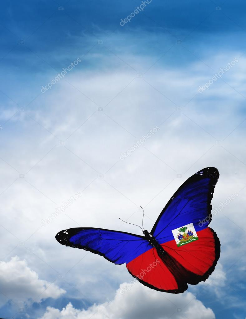 Haiti flag butterfly