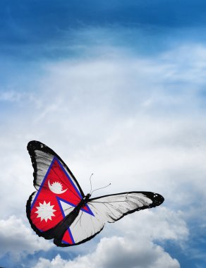 Nepal bayrağı kelebek