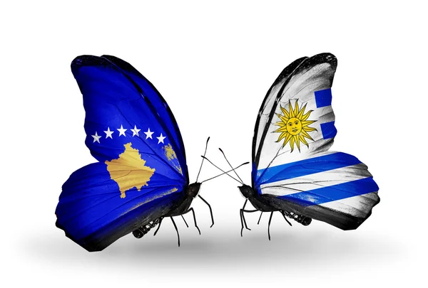 Бабочки с флагами Косово и Уругвая — стоковое фото