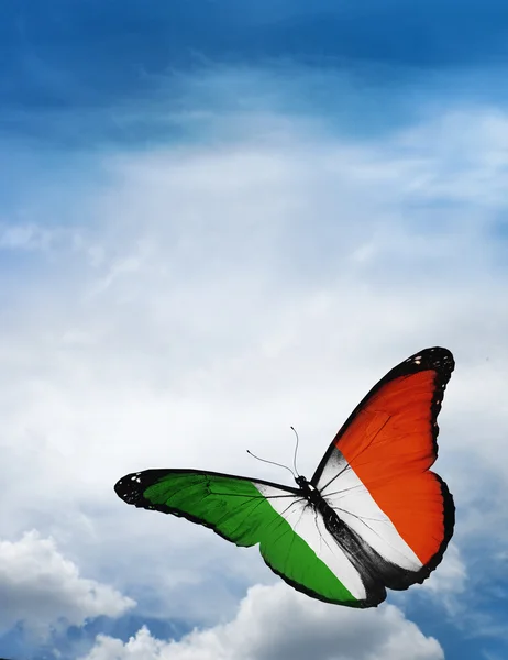 Ireland bandera mariposa —  Fotos de Stock