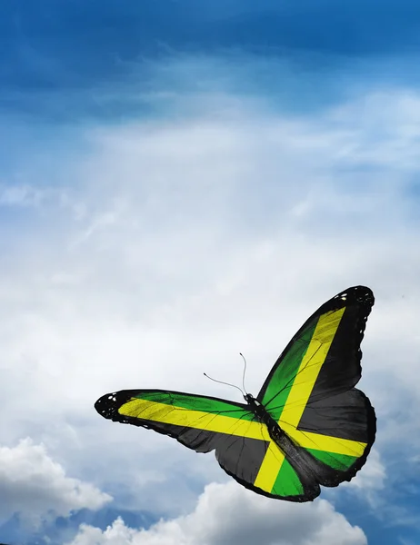 Jamaica vlag vlinder — Stockfoto