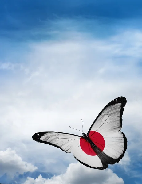 Bandera de Japón mariposa —  Fotos de Stock