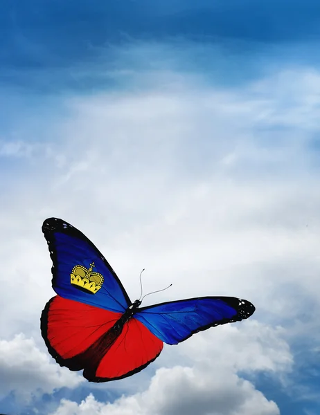 Liechtenstein flag butterfly — Stock Photo, Image