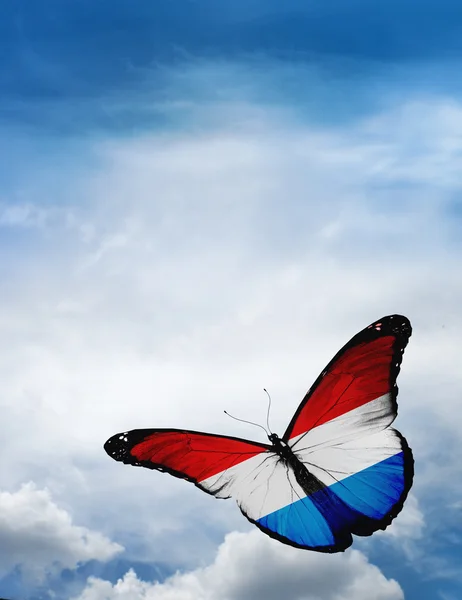 Farfalla bandiera luxembourg — Foto Stock