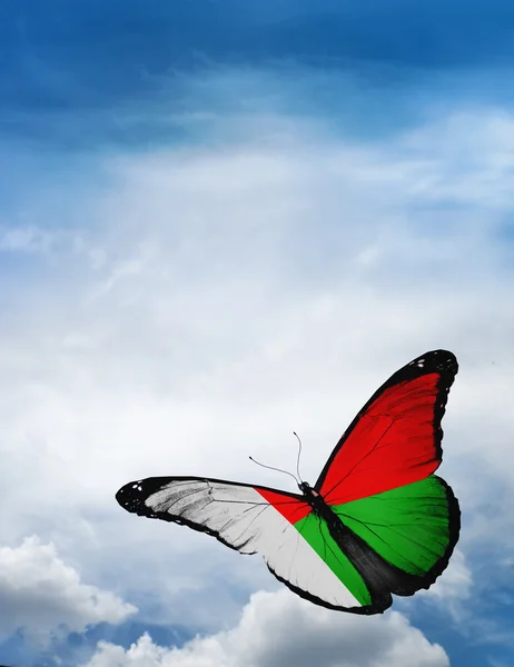 Flaga Madagaskaru motyl — Zdjęcie stockowe