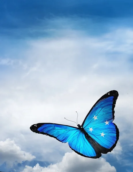 Micronesia flag butterfly — Stock Photo, Image