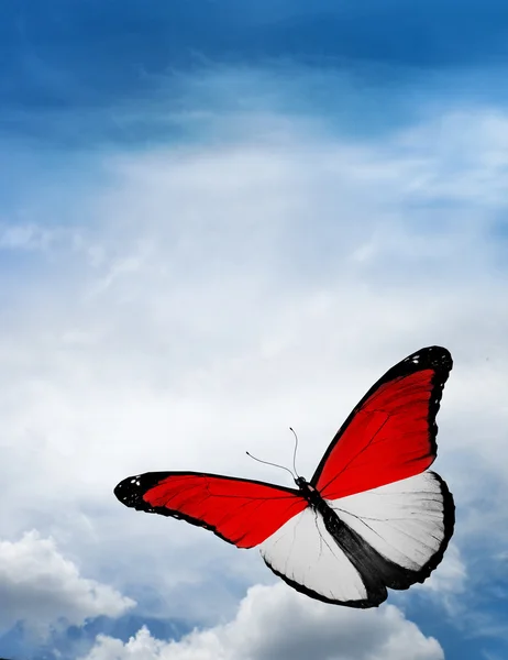 摩纳哥，印度尼西亚国旗蝴蝶 — 图库照片